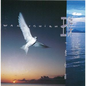 老熟女操小男孩
